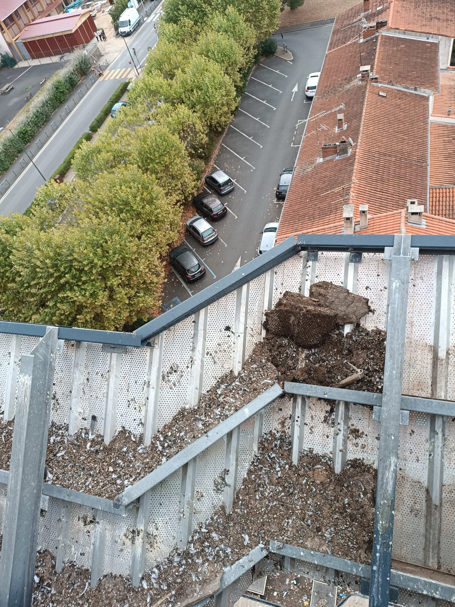 grille pleine de fientes